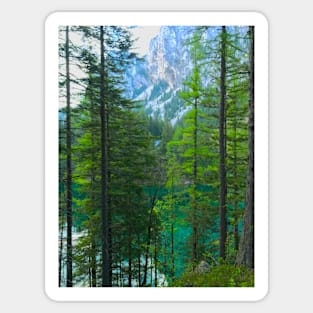 Forest at the Green Lake Sticker